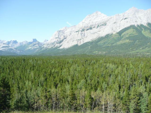 Boundary Ranch-卡那那斯基斯必去景点