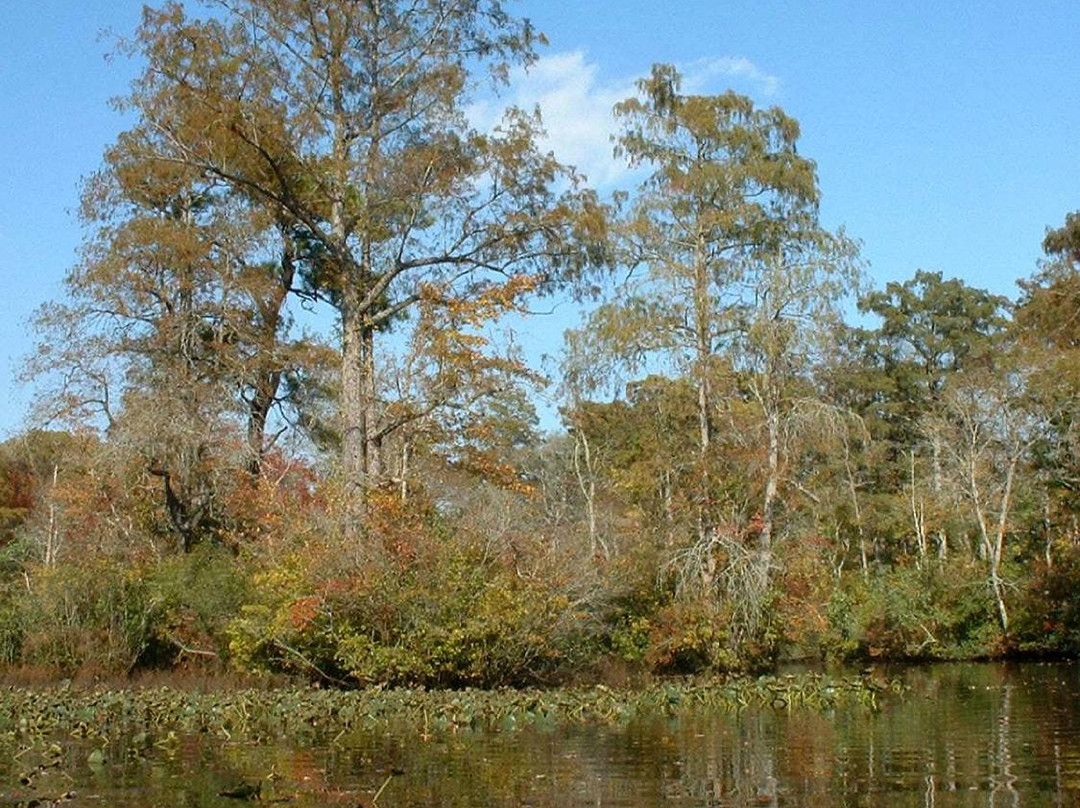 Pocomoke River Canoe Company-Snow Hill必去景点