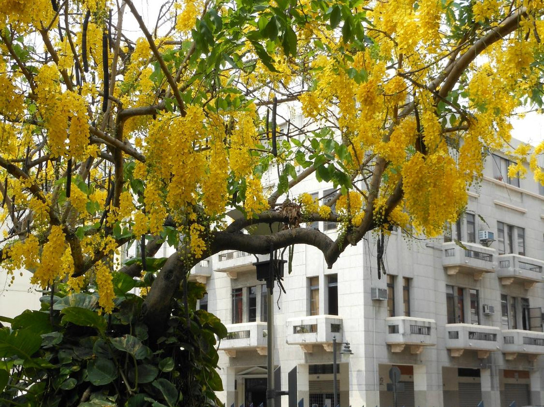 Botanical Garden of Guayaquil-瓜亚基尔必去景点