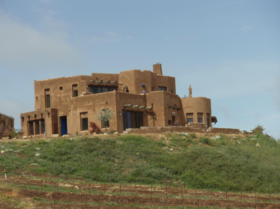Manucci Winery- Wild Coyote景点图片