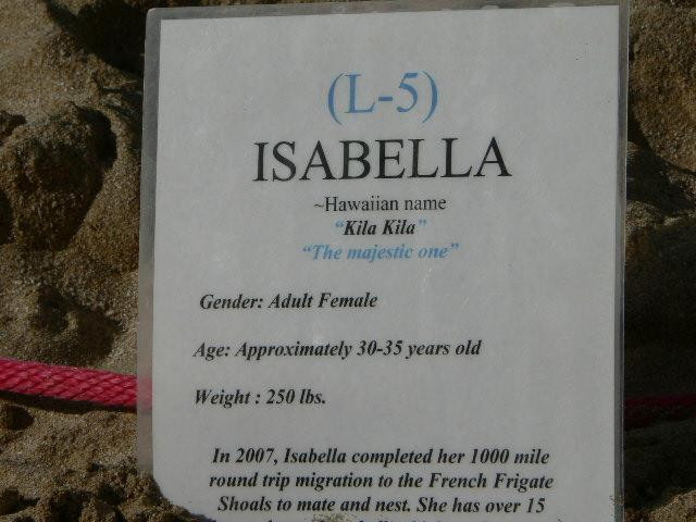 拉尼亚克雅海滩-哈雷瓦必去景点