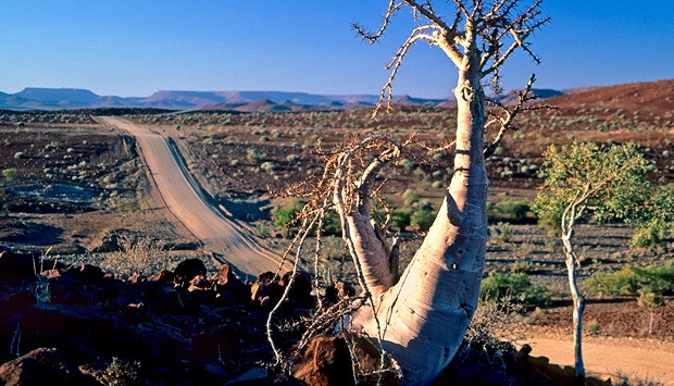 Journey Into Africa Tours and Safaris - Day Tours-比勒陀利亚必去景点