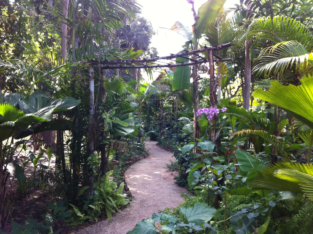 女王蝴蝶园-暹粒必去景点