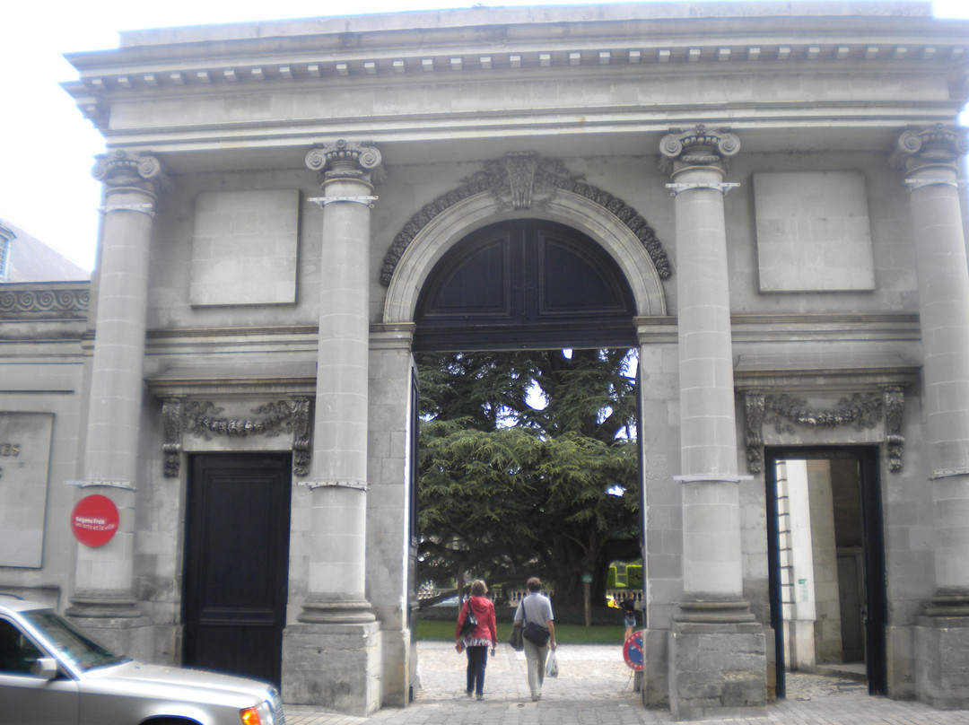 Musée des Beaux-Arts Tours-图尔必去景点