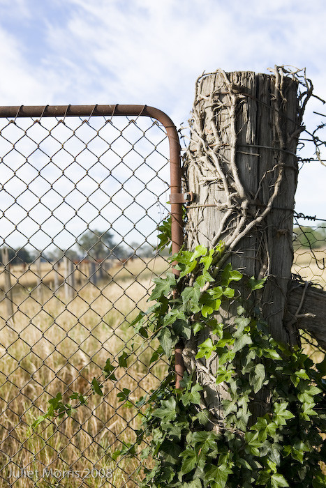 Mount Pleasant Homestead主图