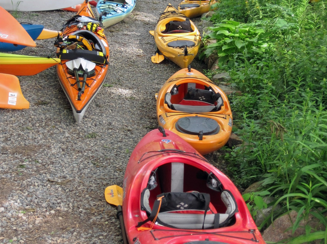 Grand River Kayak-Dunnville必去景点