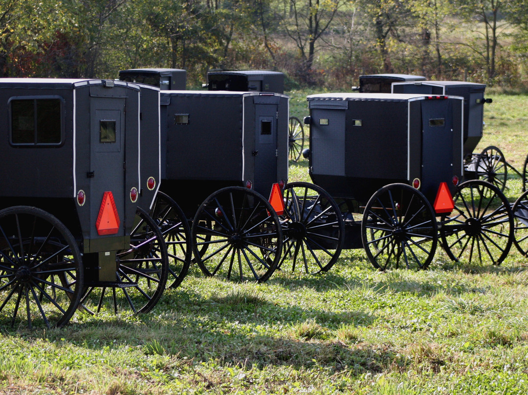 Amish Heartland Tours-Berlin必去景点