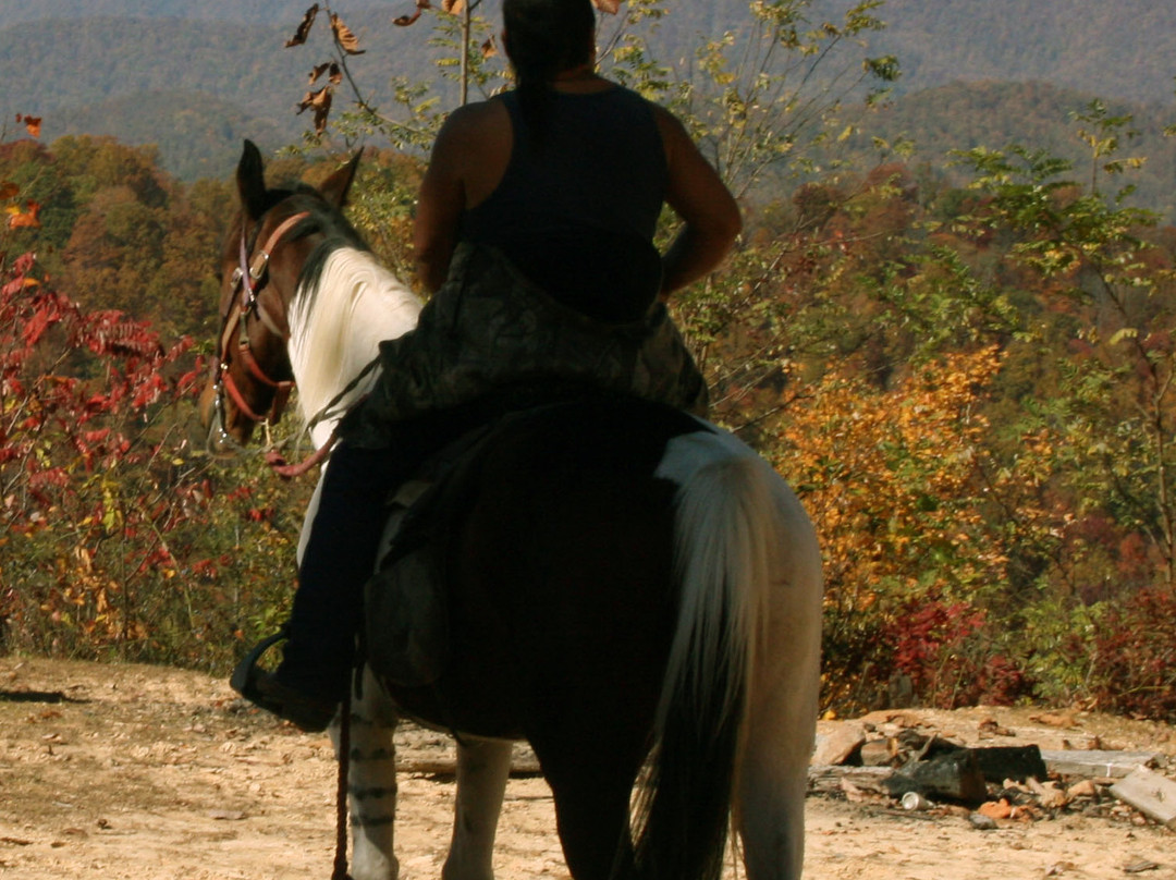 End of the Trail Horseback Riding景点图片