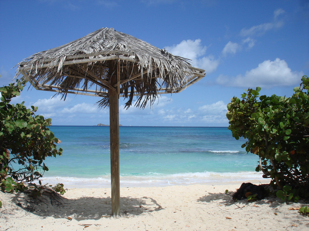 Savannah Bay-维京果岛必去景点