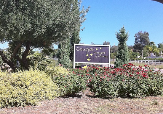 Cougar Vineyard & Winery-特曼库拉必去景点