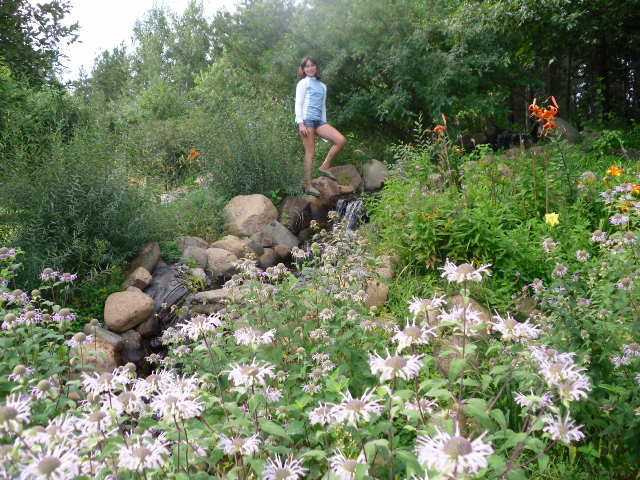 Northland Arboretum-Brainerd必去景点