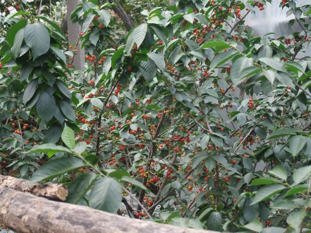 安丘公冶长书院-安丘市必去景点