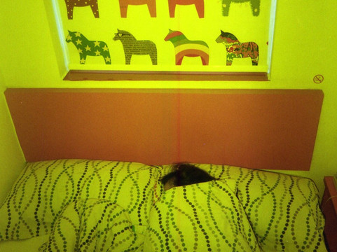 苏州布丁观前中心店主图