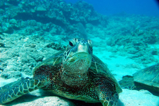快乐海洋游-考普雷必去景点