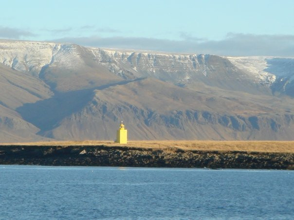 Videy Island-雷克雅未克必去景点