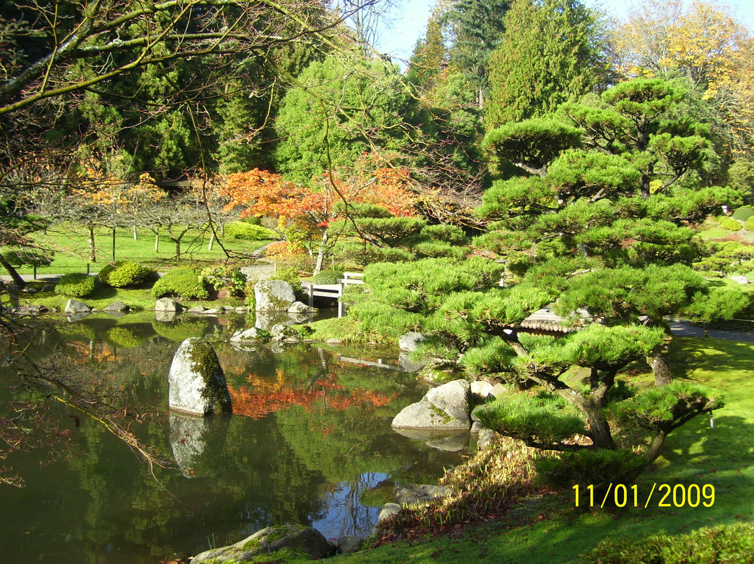 日本茶园景点图片