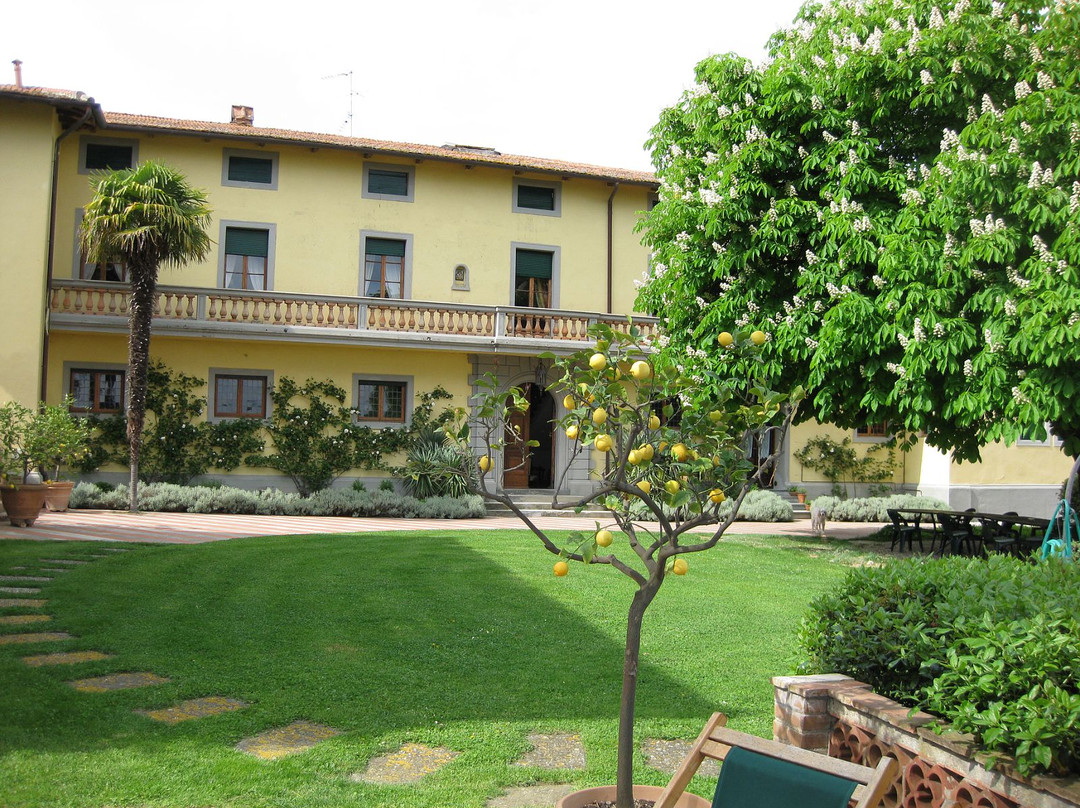 Organic Tuscany Cooking Classes-切塔尔多必去景点