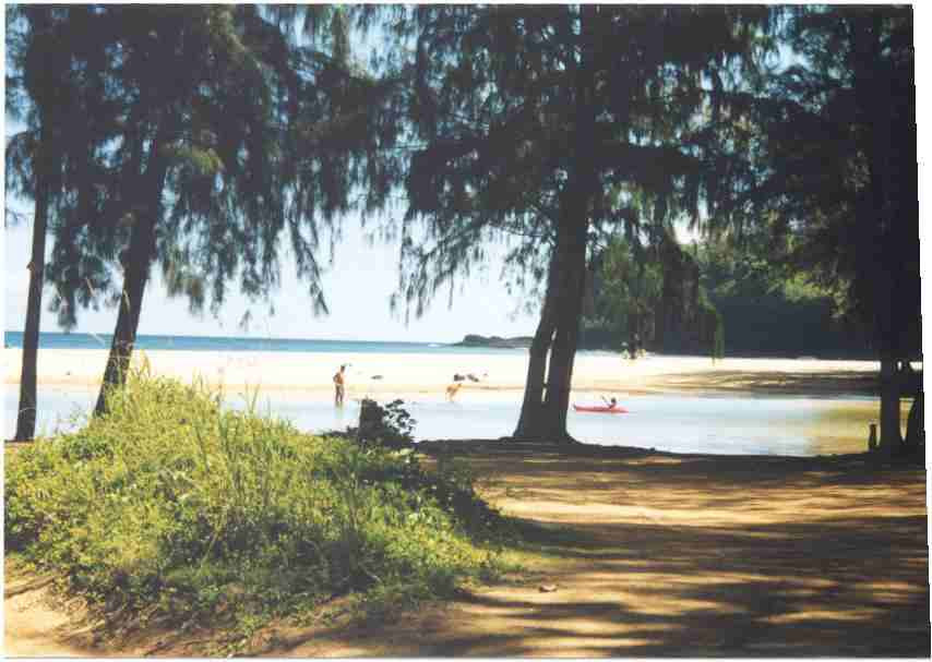 Kalihiwai Beach景点图片