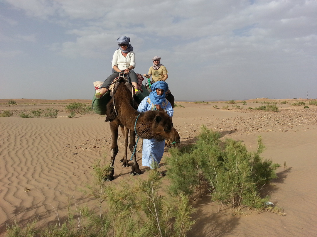 DesertBrise Travel-迈哈米德必去景点