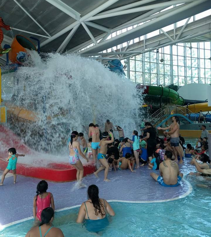 Sydney Olympic Park Aquatic Centre景点图片