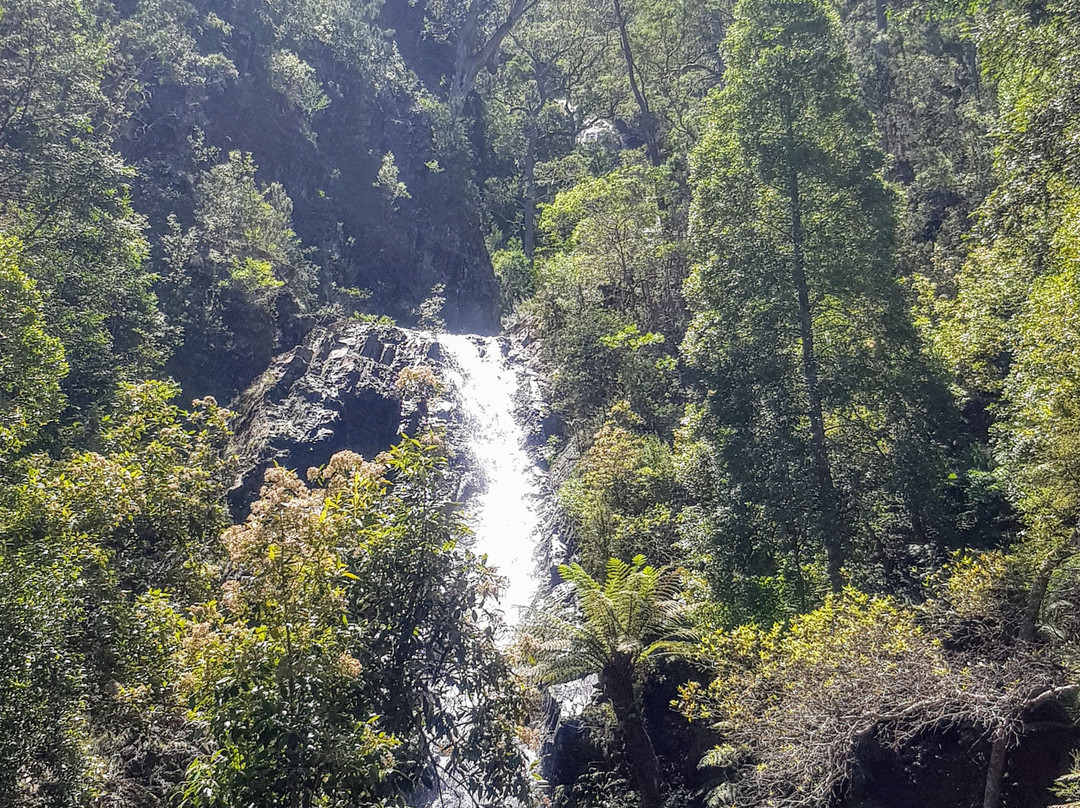 Mathinna Falls景点图片