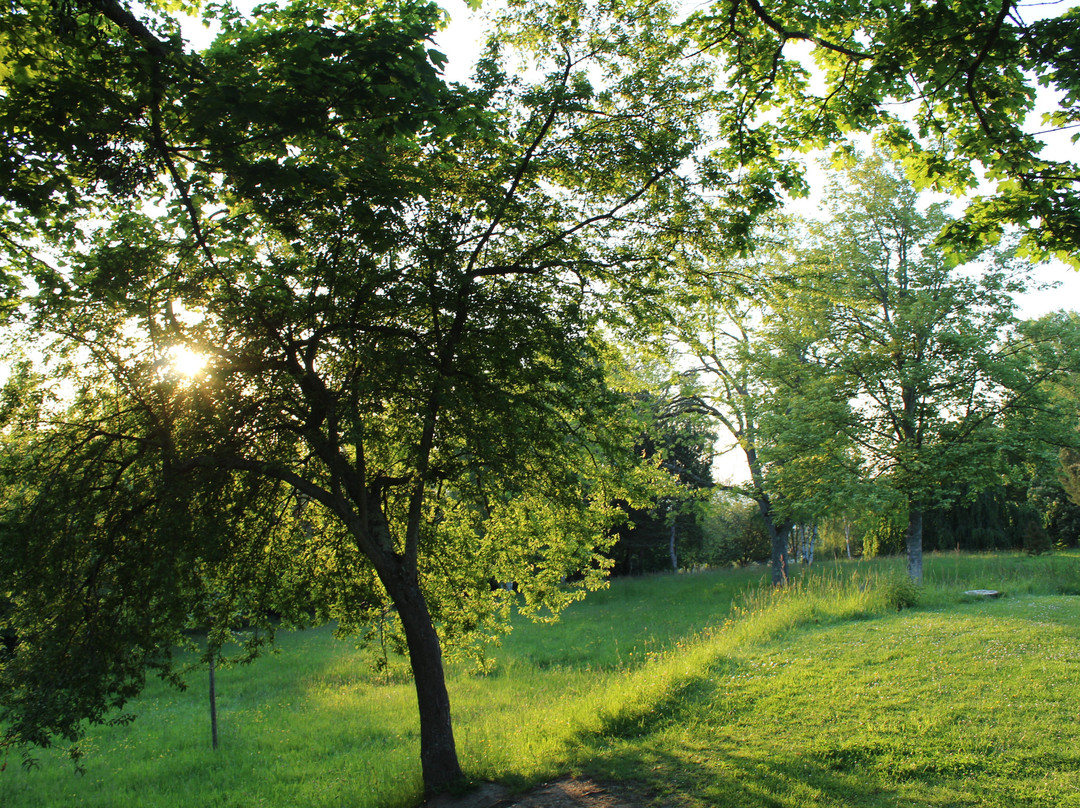 Arboretum de Lisieux景点图片