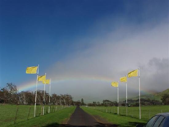 派克牧场-卡慕也拉必去景点