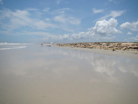 Washington Oaks Gardens State Park-棕榈海岸必去景点