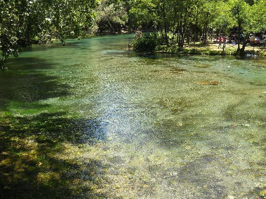 Parco del Grassano景点图片