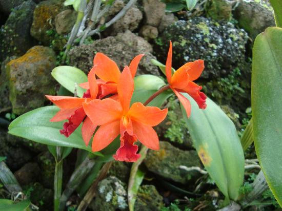 可洛亚历史路径-可洛亚必去景点