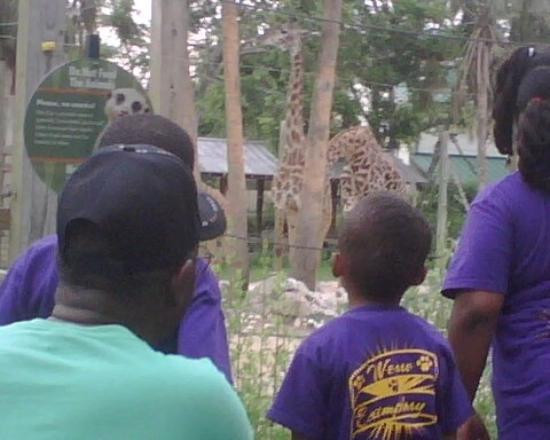 休士顿动物园-休斯顿必去景点