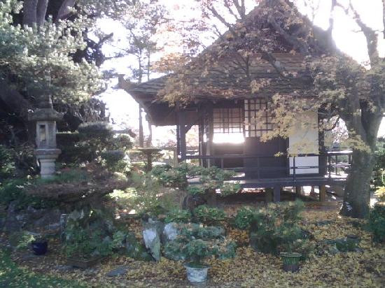 Irish National Stud & Gardens-Tully必去景点