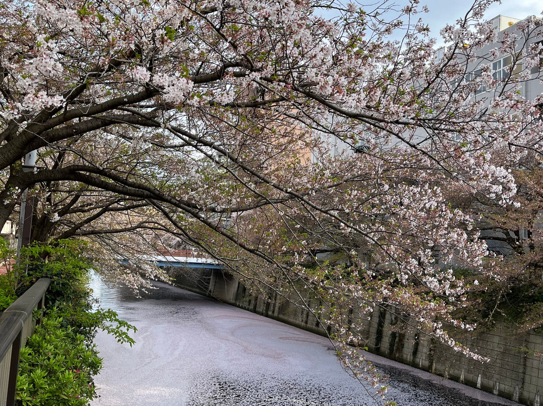 Nakameguro Park-Nakameguro必去景点