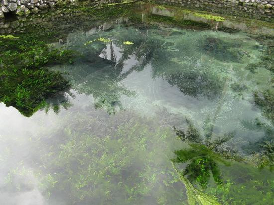 伊斯坦纳坦帕泉景点图片