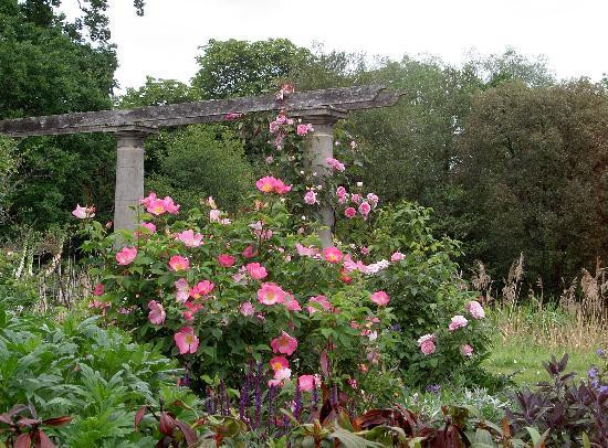 Coughton Court-Alcester必去景点