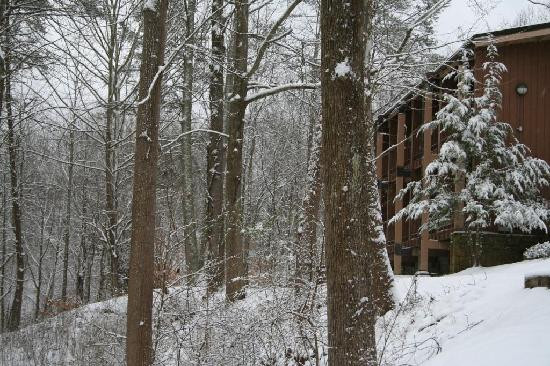 Jenny Wiley State Resort Park-Prestonsburg必去景点