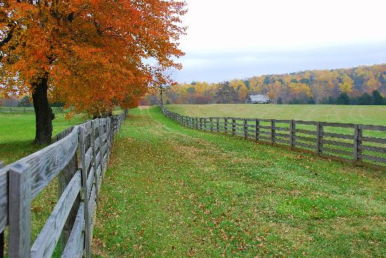 Appomattox Court House National Historical Park景点图片