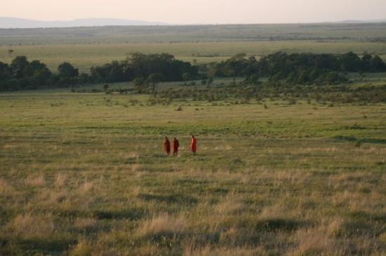 Mara Triangle-马赛马拉国家野生动物保护区必去景点