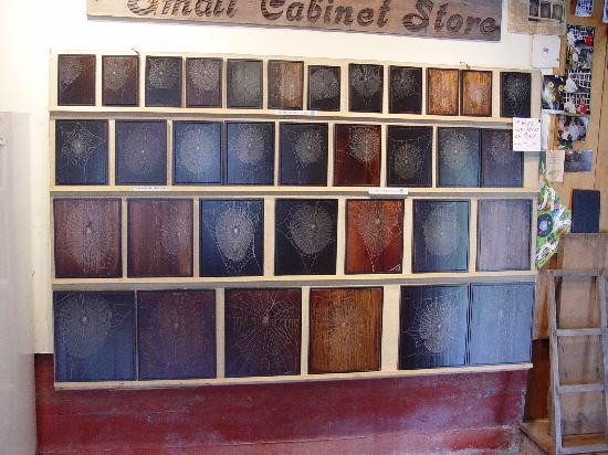 Knight's Spider Web Farm-Williamstown必去景点