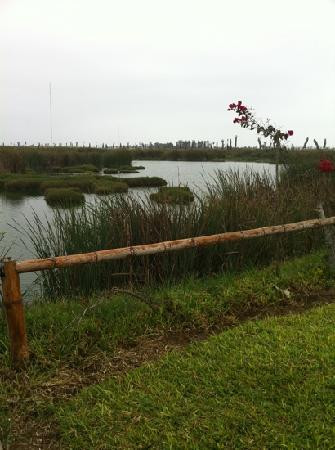 Humedal Pantanos de Villa-利马必去景点