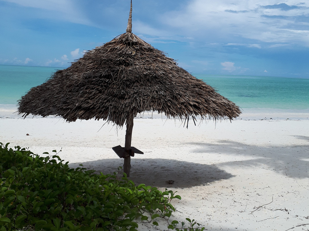 Karihe Zanzibar Tours-Matemwe必去景点