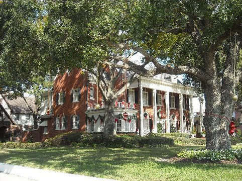 City Bike Tampa-坦帕必去景点