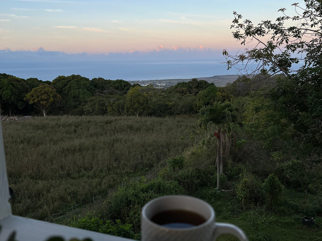 海勒华拉来住宿加早餐旅馆主图