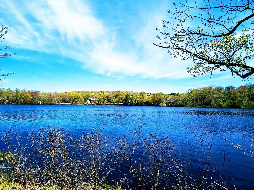 Shenipsit Lake Trail - Blue Blazed景点图片