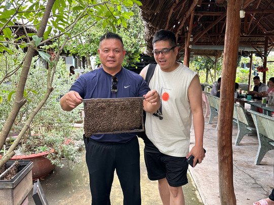 Emma OnTheGo-胡志明市必去景点