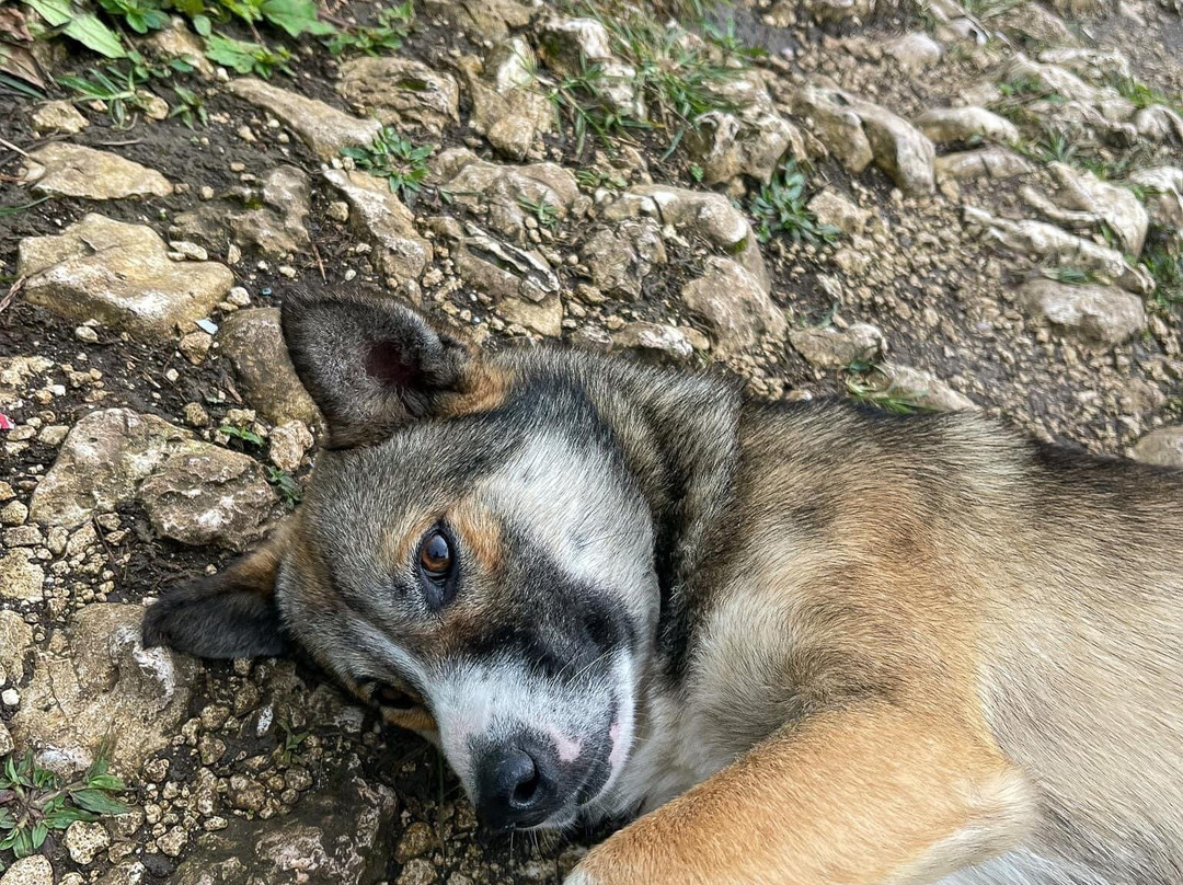 Osmena Peak-达拉盖地必去景点