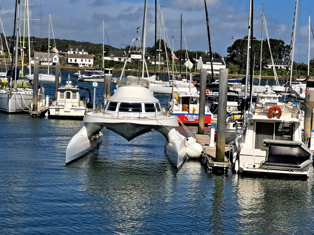 Port de la Trinité-sur-Mer景点图片