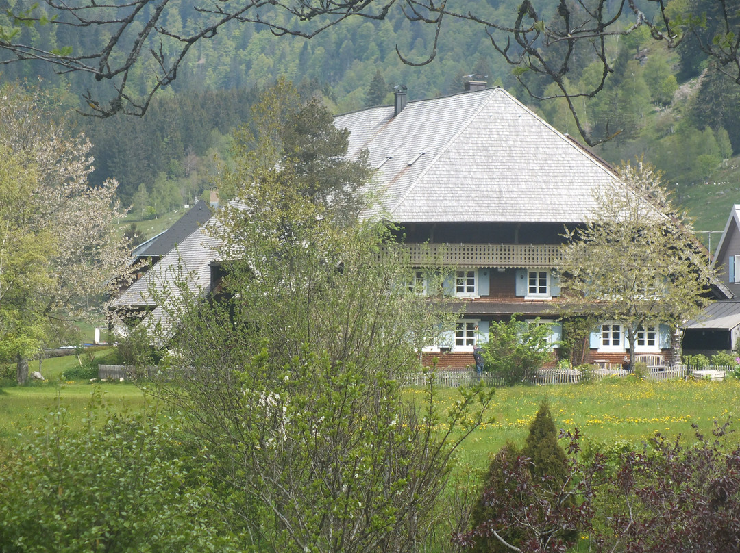 Altstadt Menzenschwand-Menzenschwand必去景点