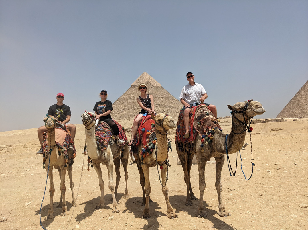 Noah Tours Ltd-Neve Ilan必去景点