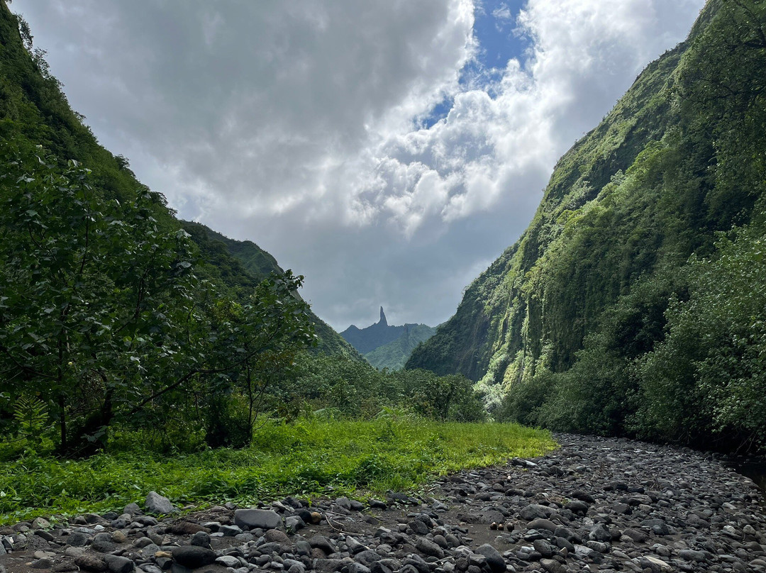 Pension Reva Teahupoo主图